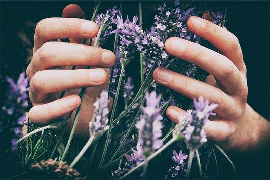 Zelesta Aromatherapie In De Slaapkamer