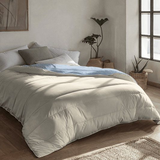 Sfeerbeeld van Zelesta Royalbed - Bluefog & Sand Beach