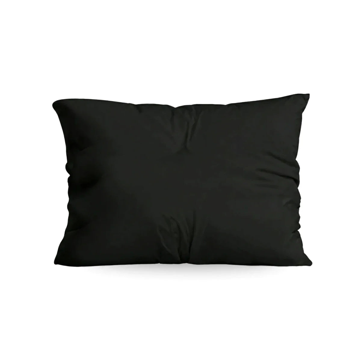 Zelesta Comfort Uni Pillowcases Set Of 2 - Black