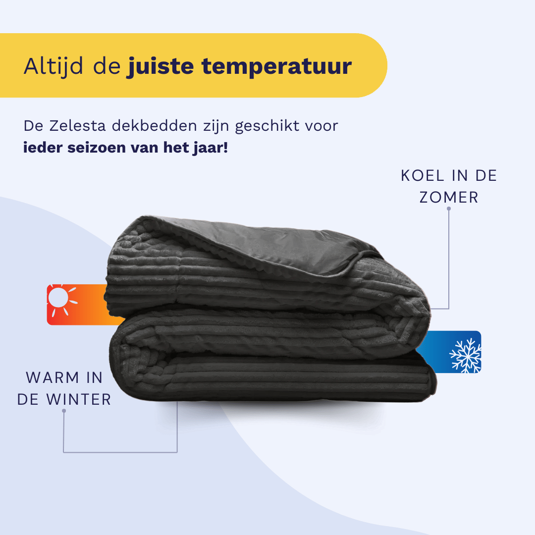 Zelesta Teddy Groovebed - Anthracite