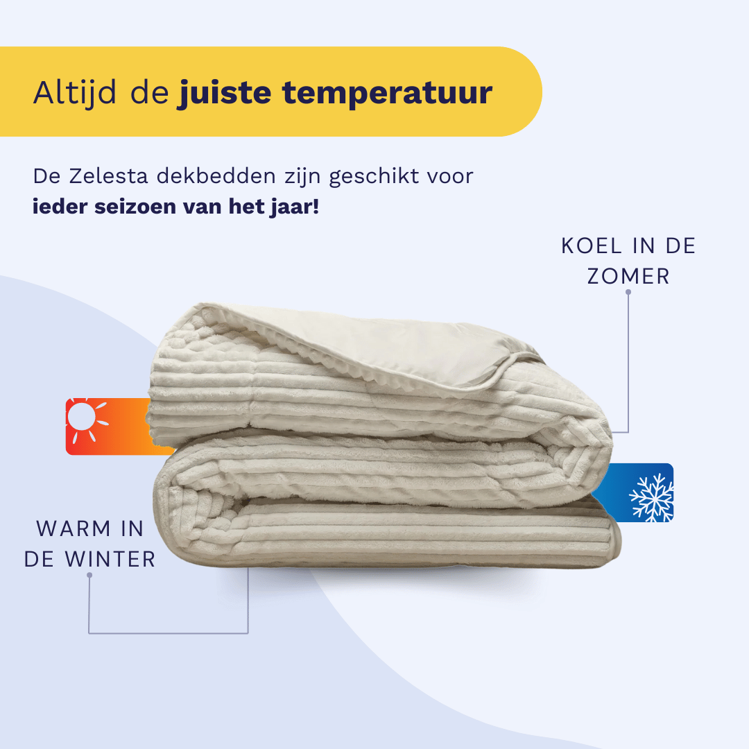 Zelesta Teddy Groovebed - Off White