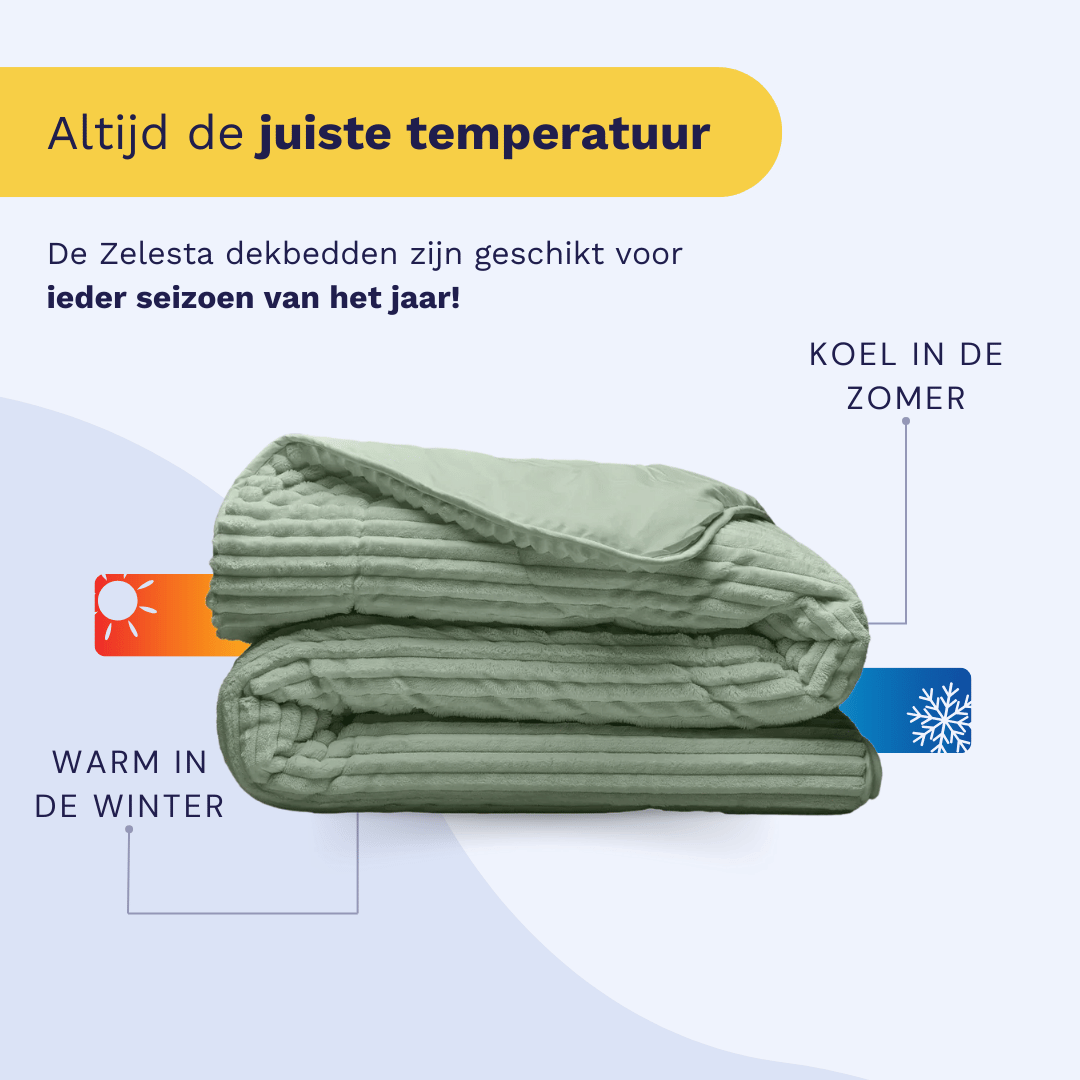 Zelesta Teddy Groovebed - Green