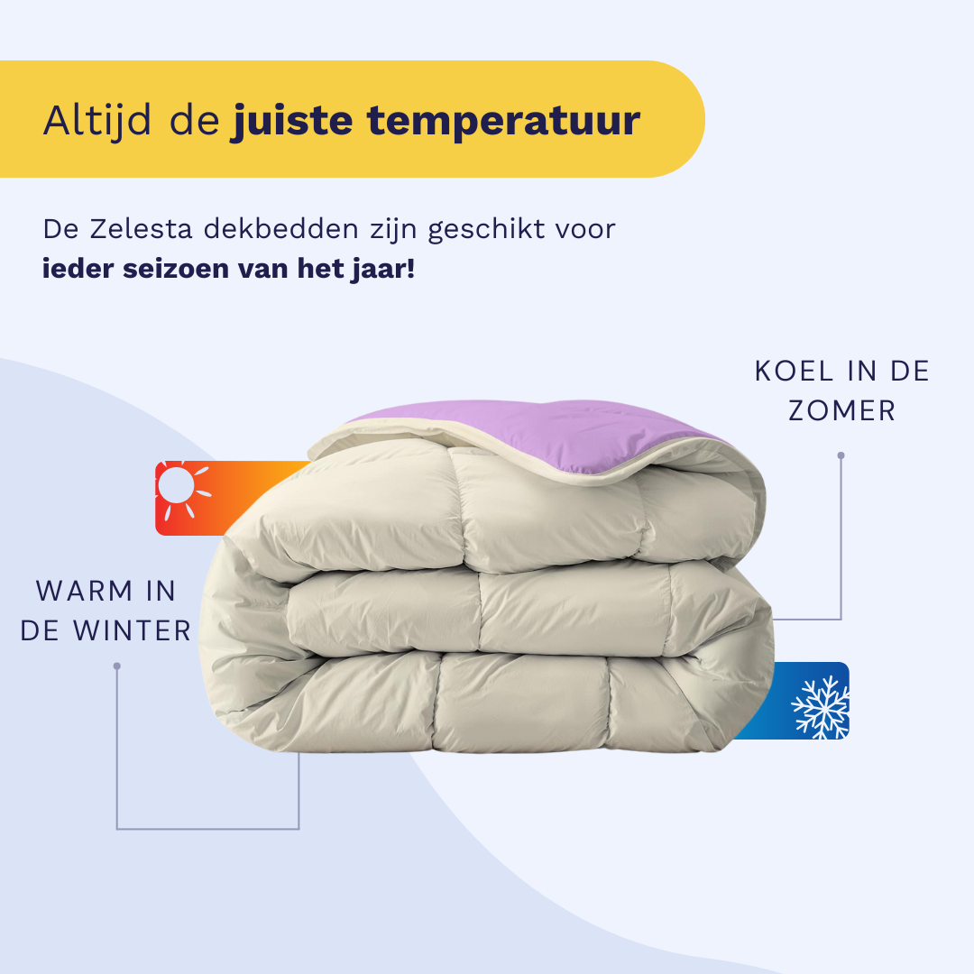 Zelesta Royalbed - Lila & Sand Beach