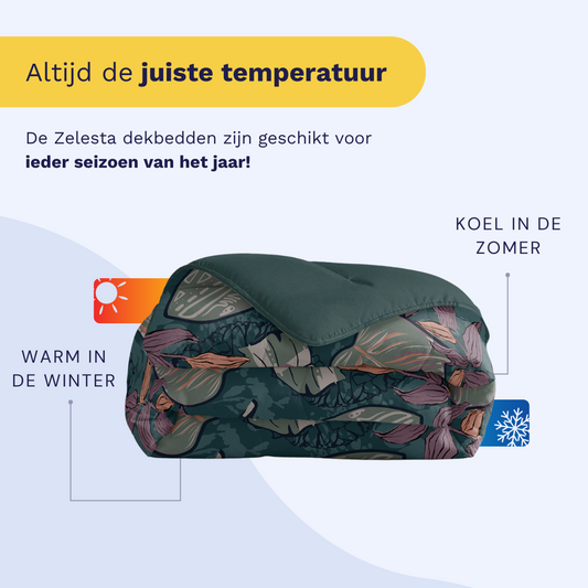 Zelesta Royalbed - Flower power