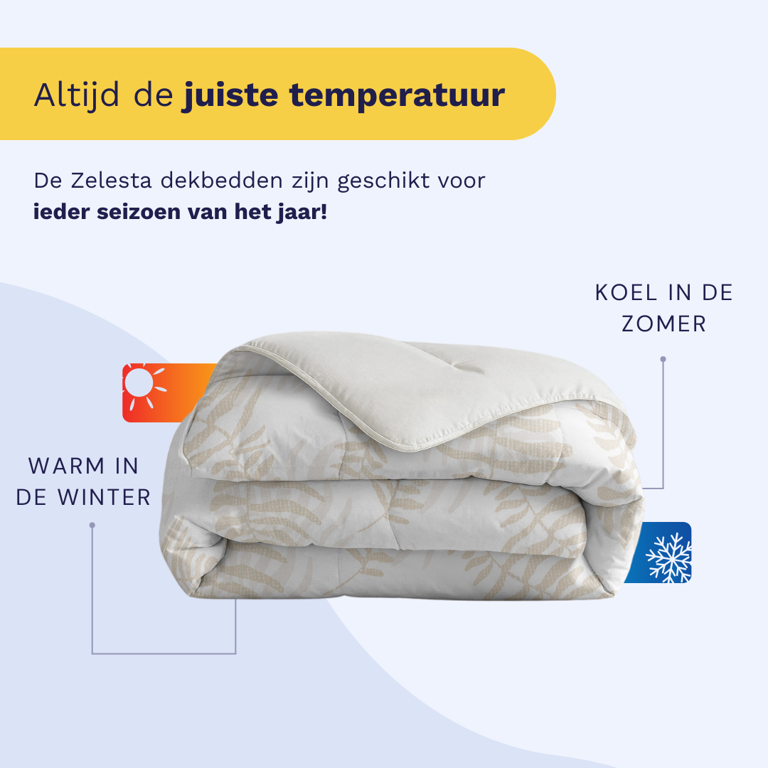 Zelesta Royalbed - Oak Leaves