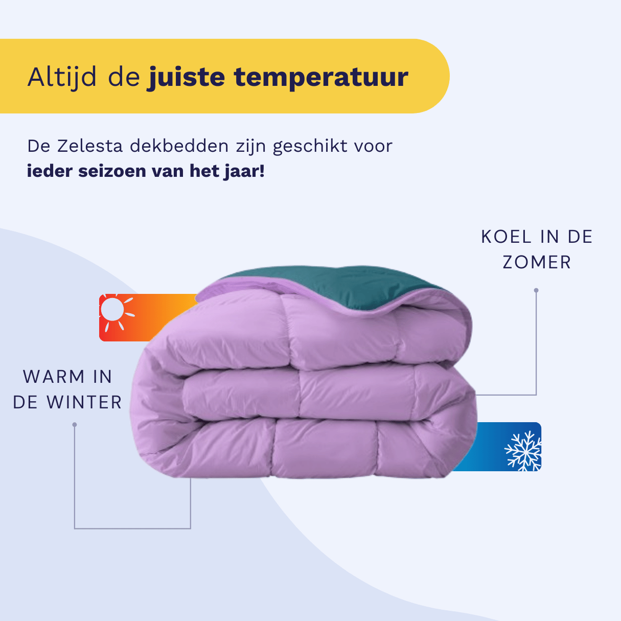 Zelesta Royalbed - Petrol & Lila