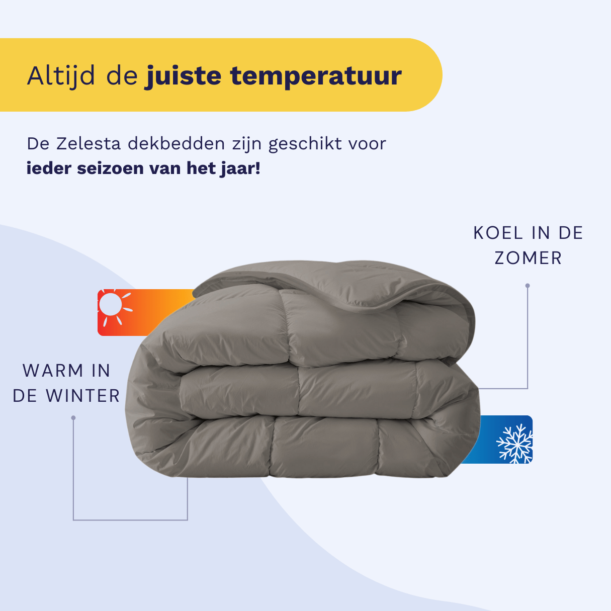 Zelesta Royalbed - Tender Grey