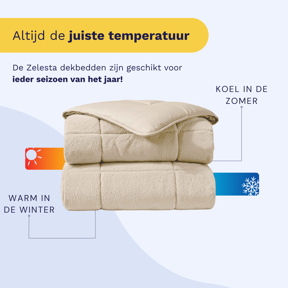 Zelesta Teddybed - Crème