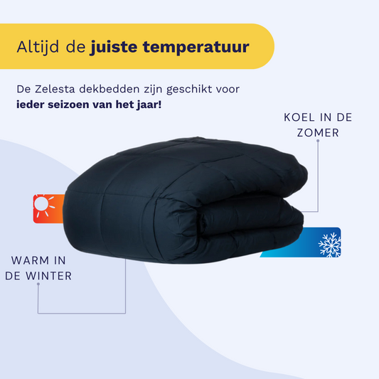 Zelesta Wonderbed - Anthracite