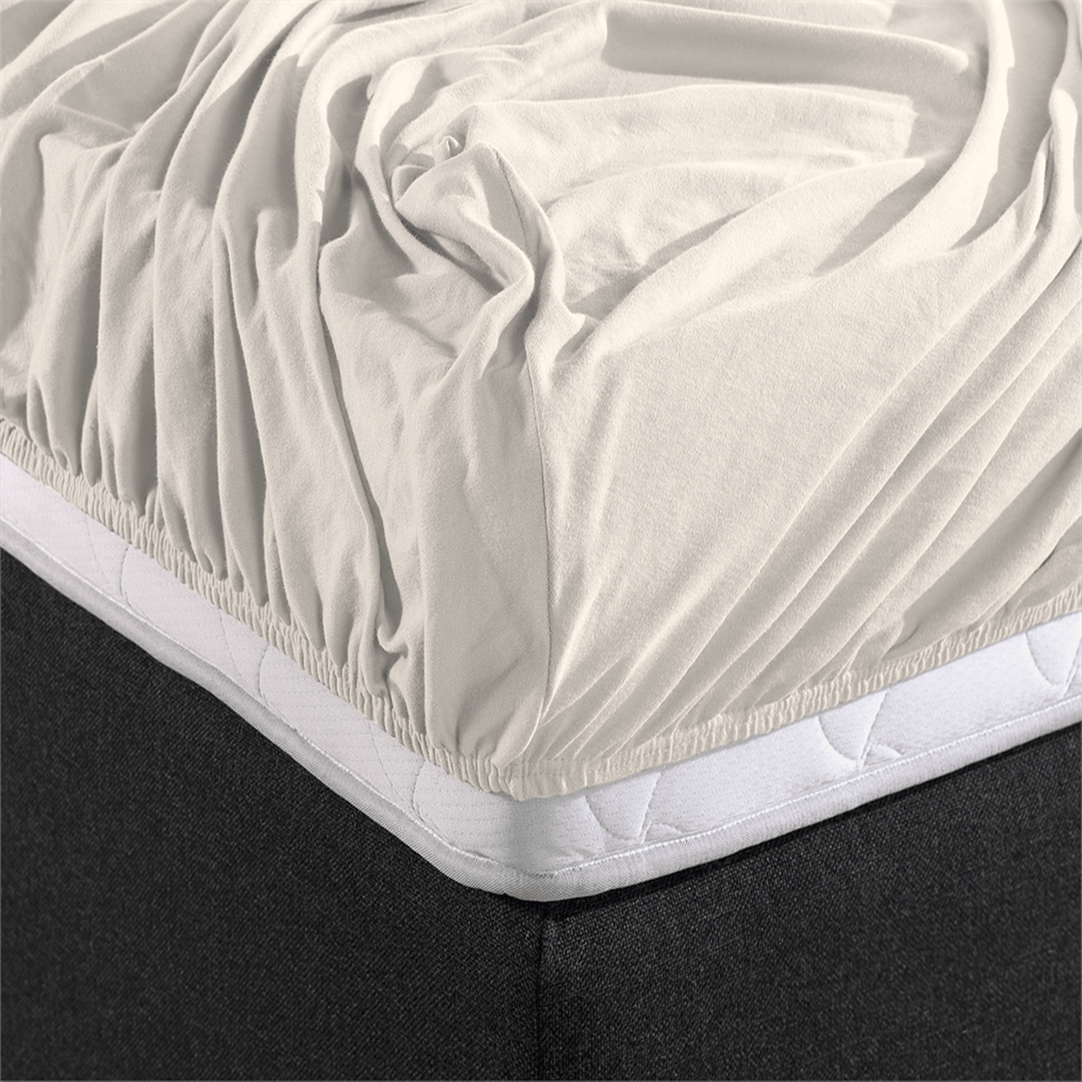 Zelesta Double Jersey Fitted Sheet Cream image