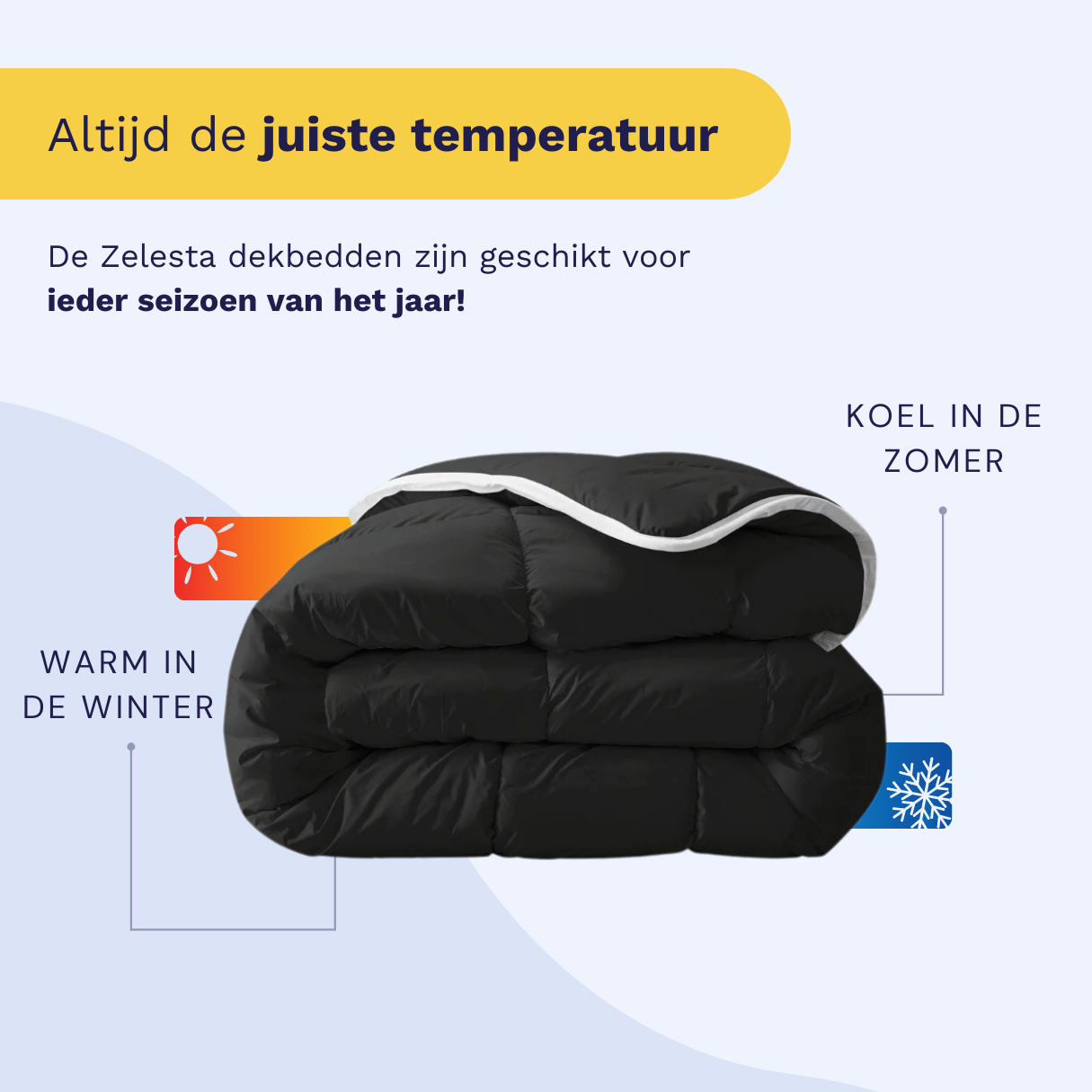 Zelesta Royalbed - Zwart