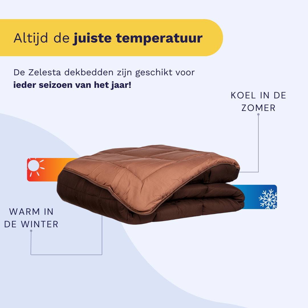 Zelesta Easybed - Chocolade & Mokka