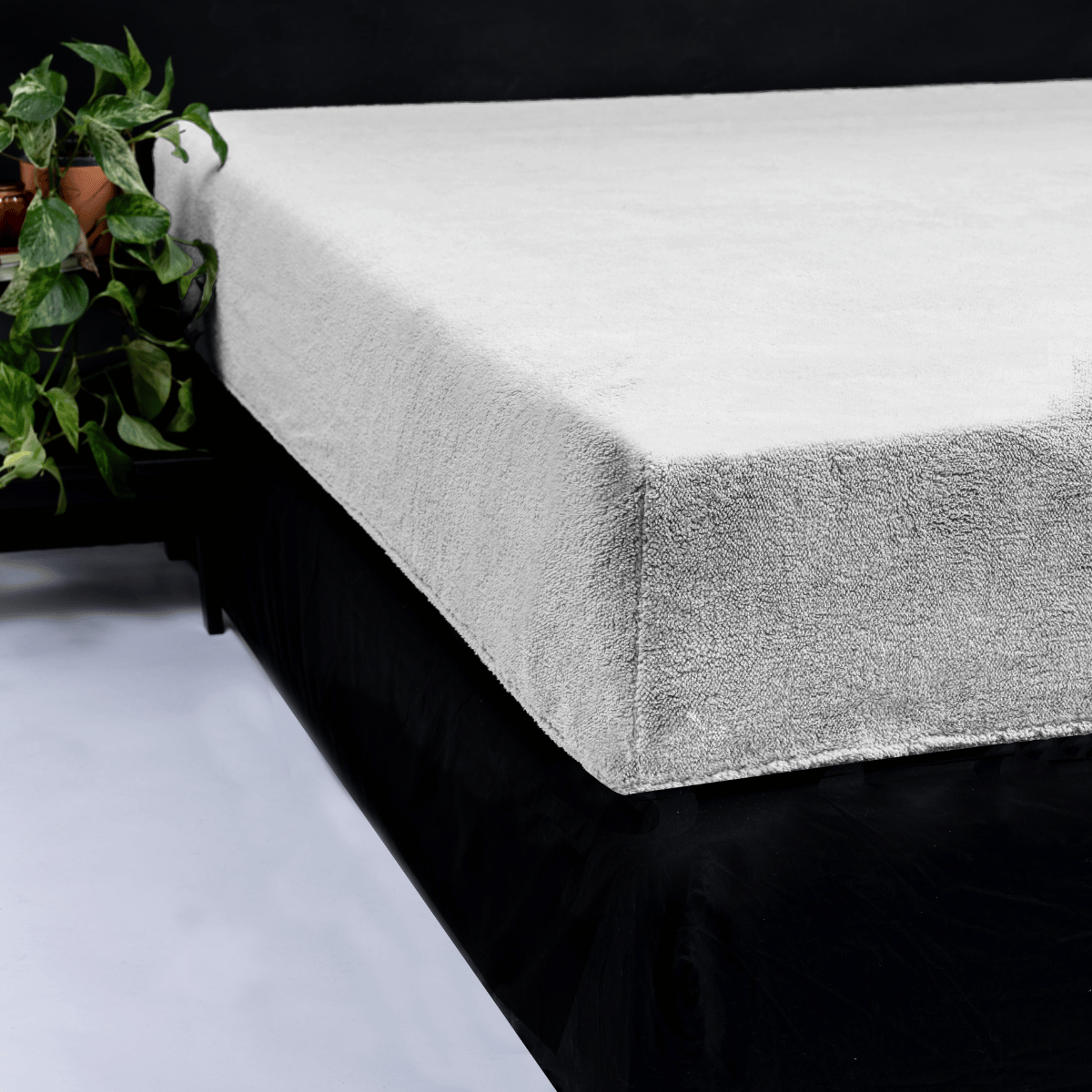 Zelesta Teddy Fitted Sheet - Grey image