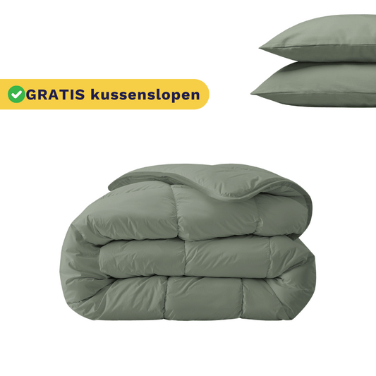 Zelesta Royalbed - Pastel Green