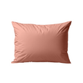Packshot van Zelesta Premiumbed Kussensloop Set van 2 - Salmon & Peach