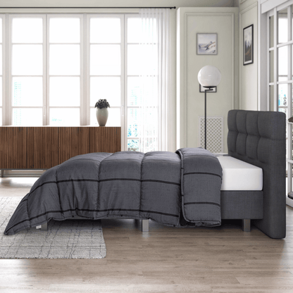 Zelesta Royalbed Stripe - Black & Grey