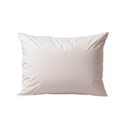 Zelesta Deluxe Percale Cotton Pillowcase Set Of 2 - Cream