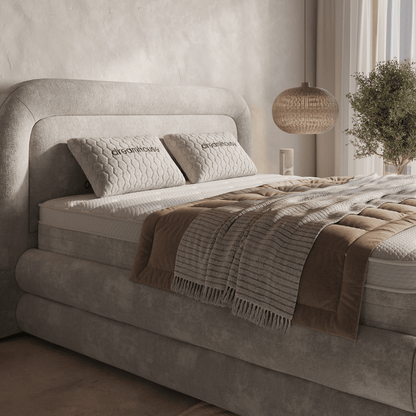 Zelesta Halo Boxspring