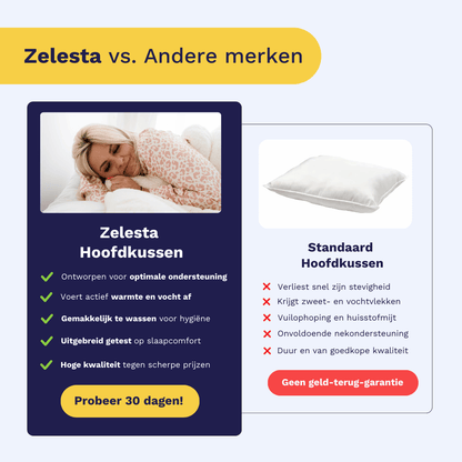 Zelesta BambooPillow 60x70 cm