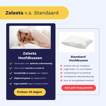 Zelesta BambooPillow 80x80 cm