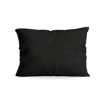 Zelesta Comfort Uni Pillowcases Set Of 2 - Black