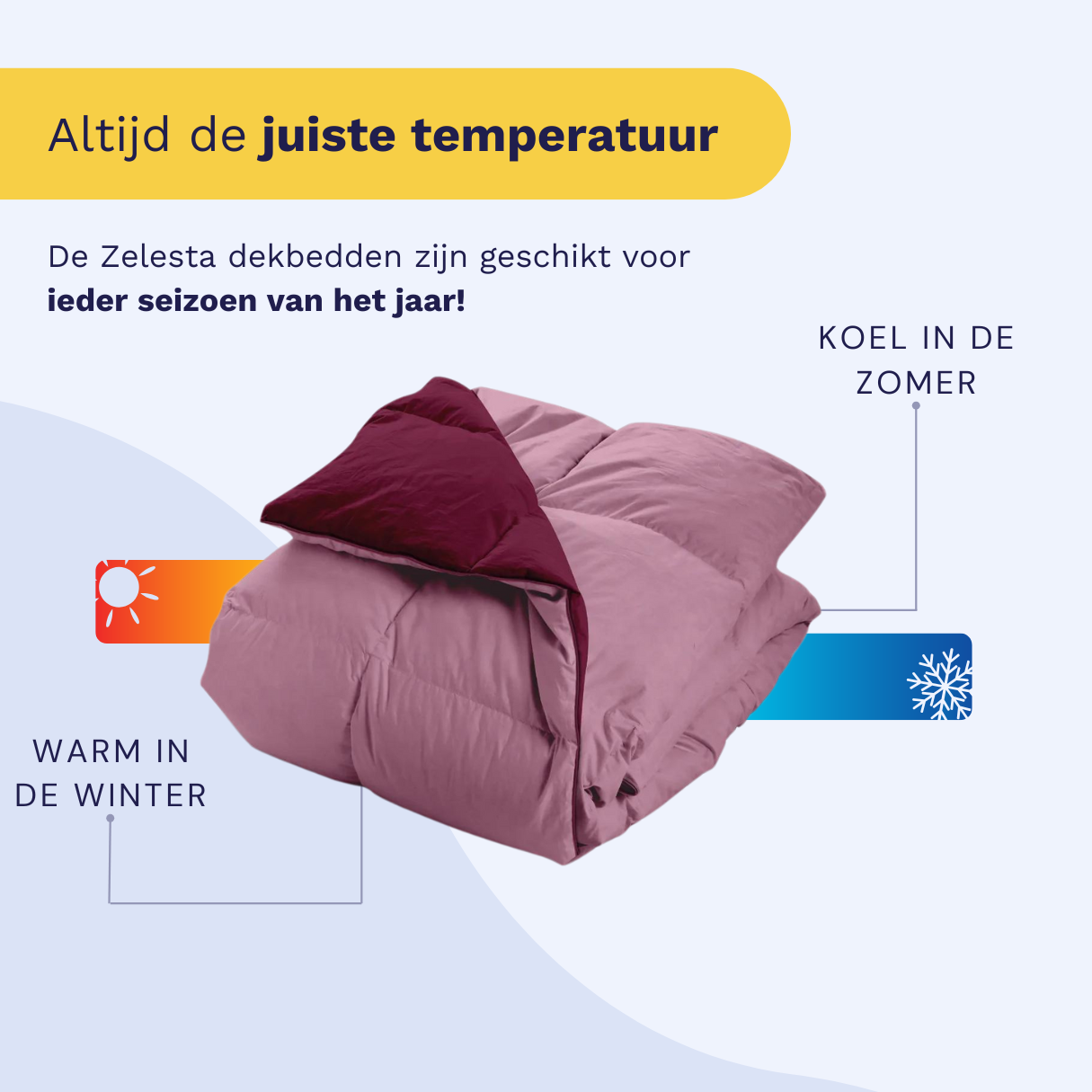Zelesta Percale Cottonbed Katoen - Pink & Red Wine
