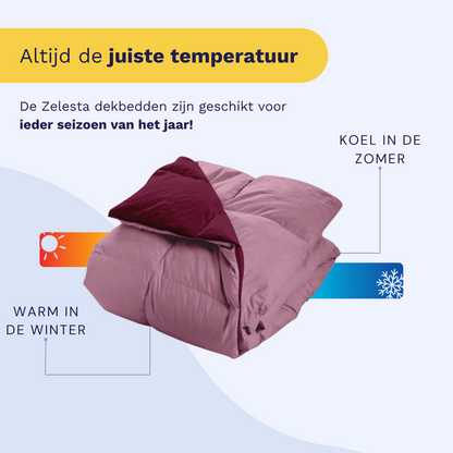 Zelesta Percale Cottonbed Katoen - Pink & Red Wine
