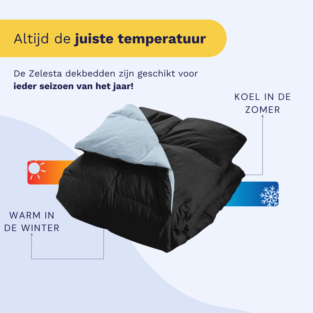 Zelesta Percale Cottonbed Katoen - Sky Blue & Black