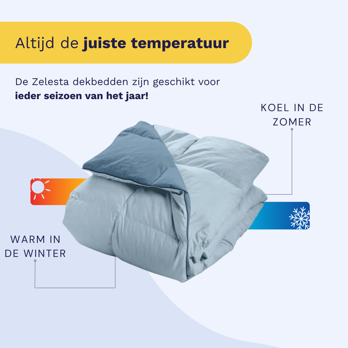 Zelesta Percale Cottonbed Katoen - Sky Blue & Navy Blue