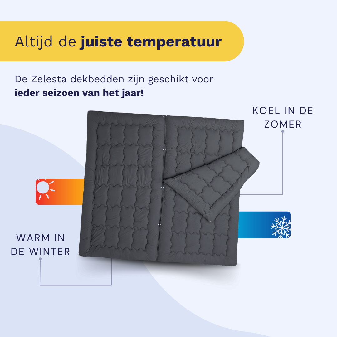 Zelesta Flexibed - Anthracite image