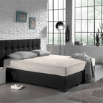 Zelesta Single Jersey Fitted Sheet Cream image