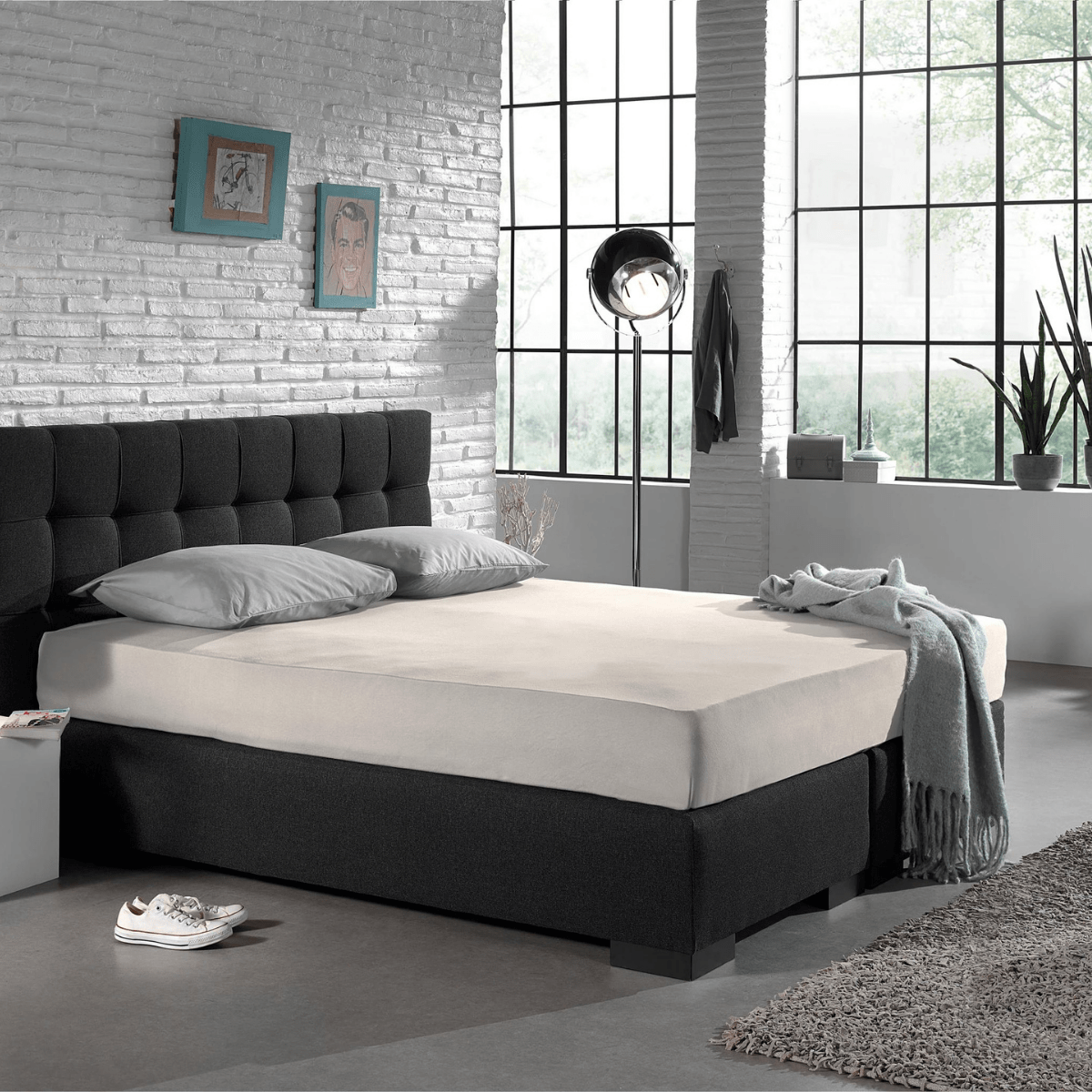 Zelesta Single Jersey Fitted Sheet Cream image