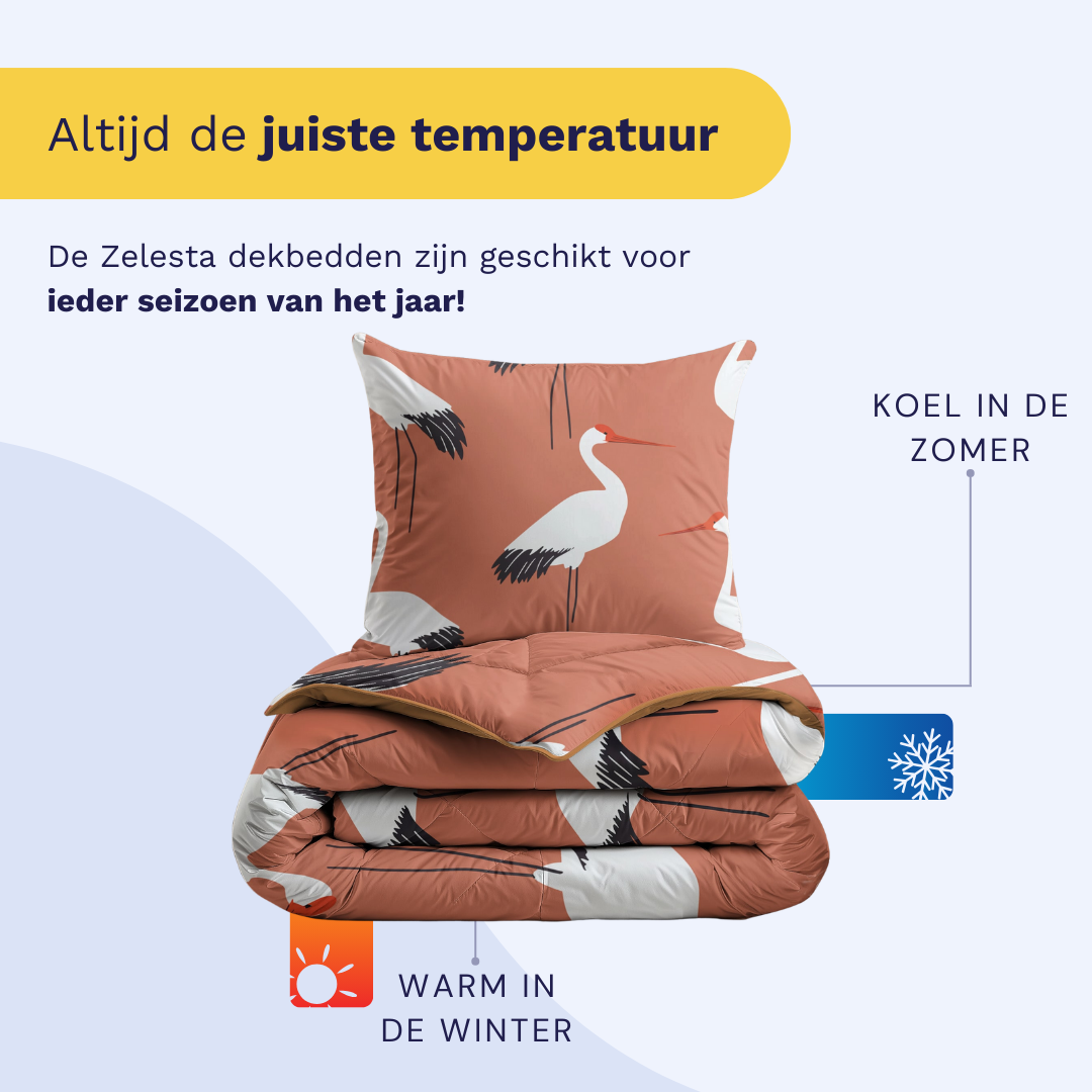Zelesta Kiddybed Katoen - Terra Crane