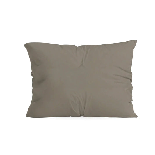 Zelesta Pure Uni Cotton Pillowcase Set Of 2 - Anthracite Grey