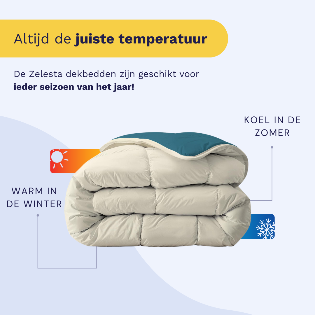 Zelesta Royalbed - Petrol & Sand Beach