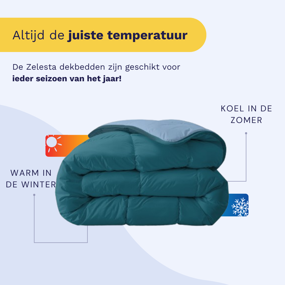 Zelesta Royalbed - Petrol & Bluefog (XL) 1+1