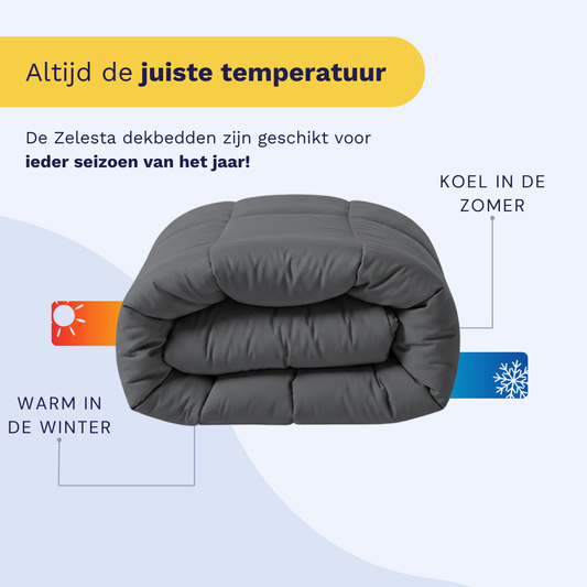 Zelesta Wonderbed - Stone Grey