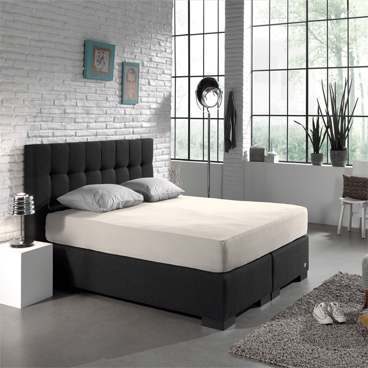 Zelesta Double Jersey Fitted Sheet Cream image