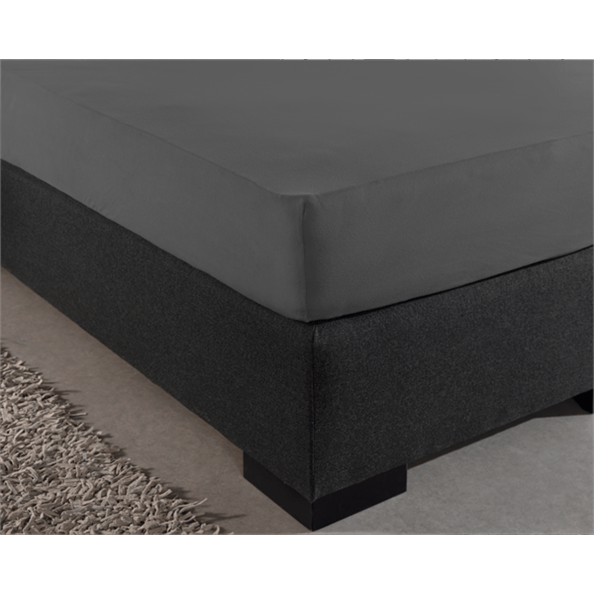Zelesta Single Jersey Fitted Sheet Anthracite image