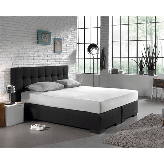 Zelesta Single Jersey Fitted Sheet White image