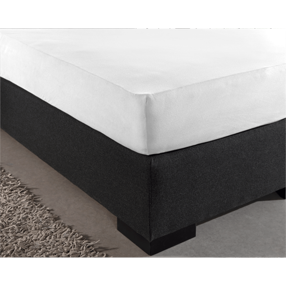 Zelesta Single Jersey Fitted Sheet White image