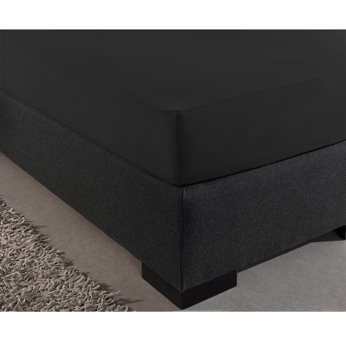 Zelesta Single Jersey Fitted Sheet Black image