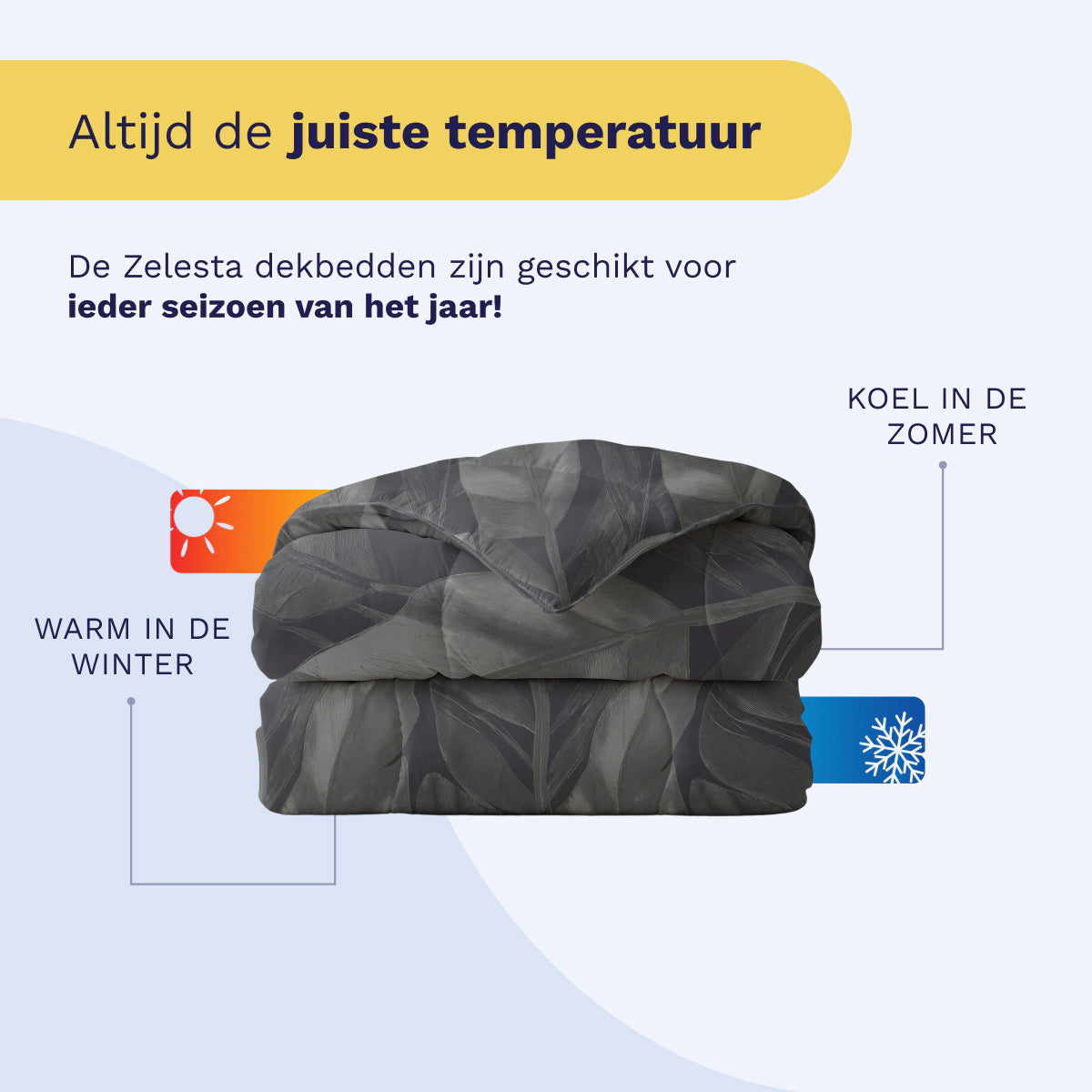 Zelesta Royalbed Katoen - Black Swan-Zelesta.nl