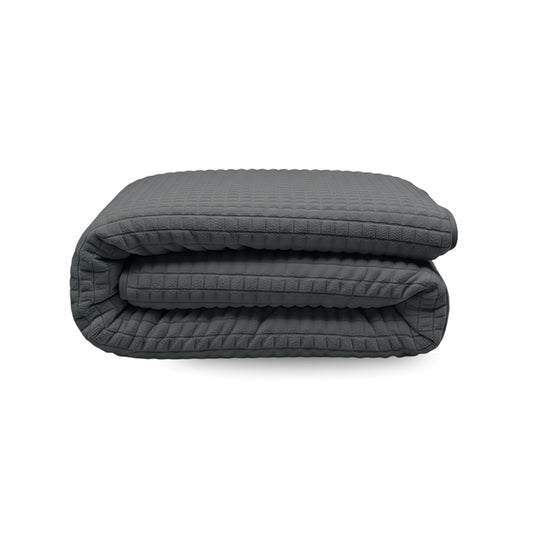 Zelesta Teddy Check - Anthracite