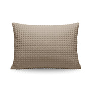 Zelesta Special Teddy Check Pillowcase Set Of 2 - Taupe