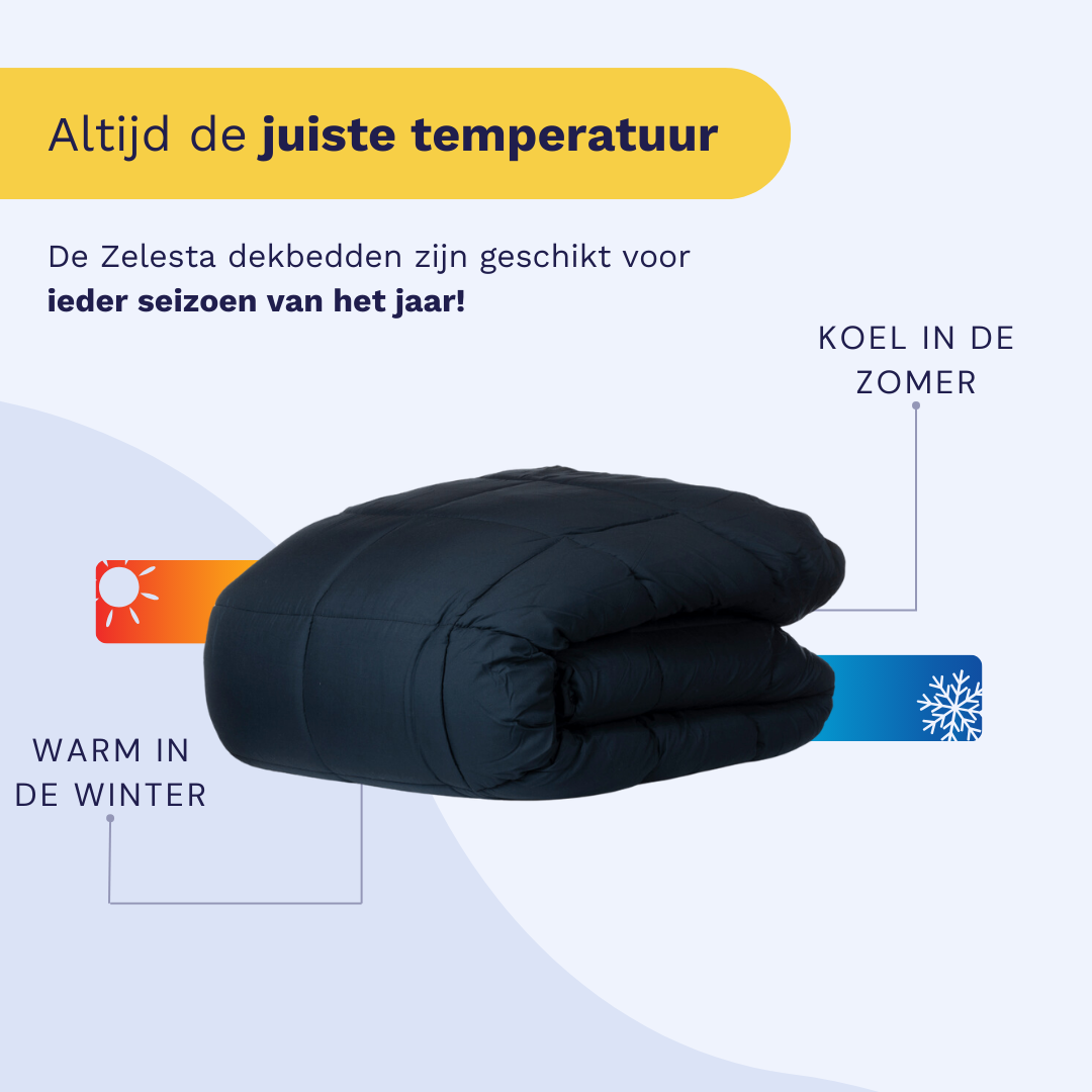 Zelesta Wonderbed - Anthracite