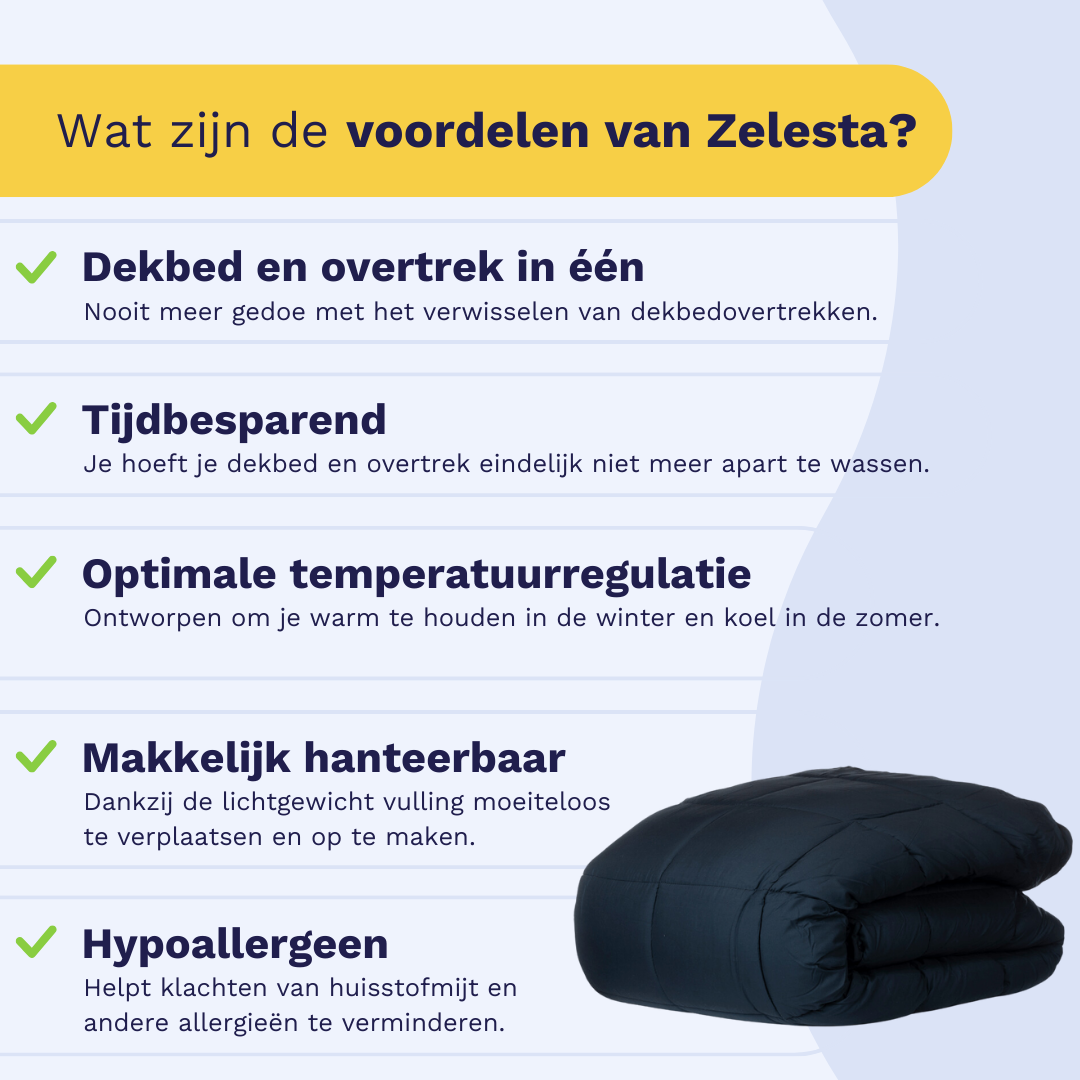 Zelesta Wonderbed - Anthracite