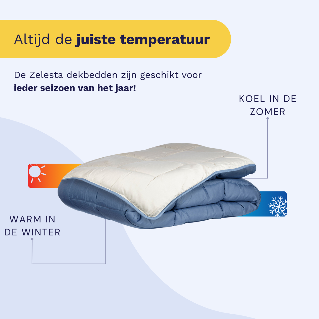 Zelesta Easybed - Blauw & Mastiek