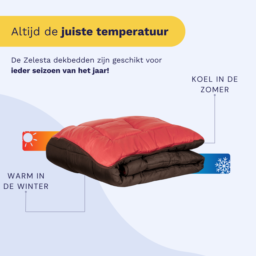 Zelesta Easybed - Chocolade & Koraal