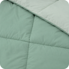 Light Green & Mint Green